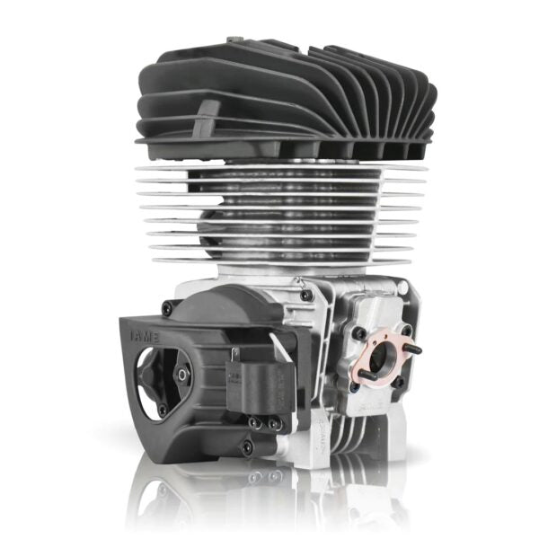 IAME KA100 Complete Engine Package
